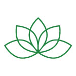 Icon1g